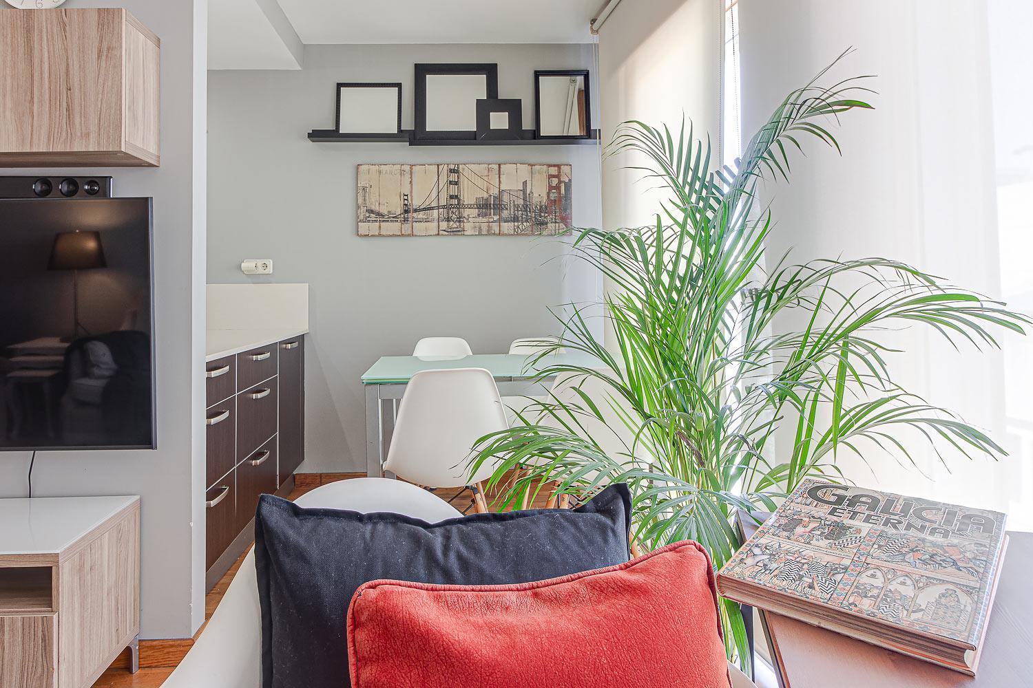 Apartment San Amaro *